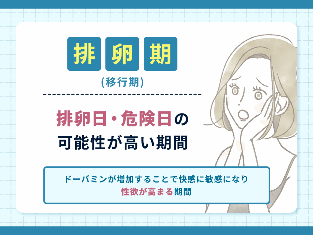 排卵期(移行期)は排卵日・危険日の可能性が高い期間